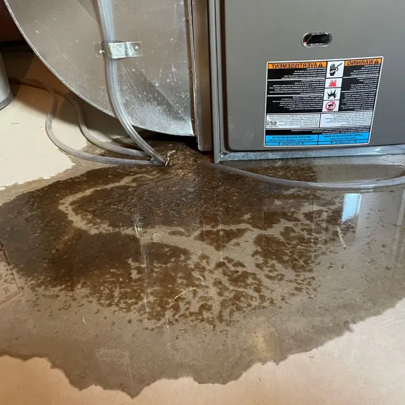 Pipe Burst and Leak Restoration in Washington, CT